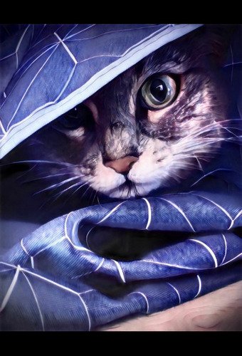 Photos - Création 2025