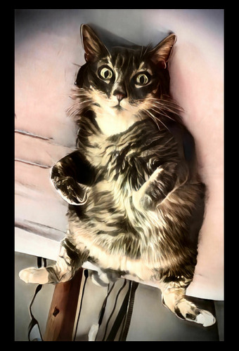 Photos - Création 2025 - 2/2